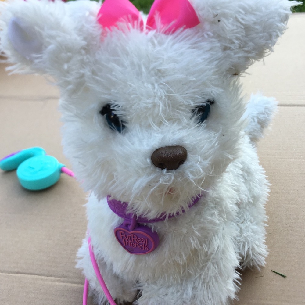 Gogo pup